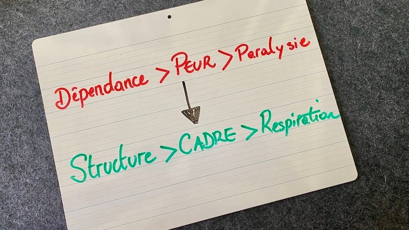 Schéma dépendance peur paralysie structure cadre respiration modèle économique